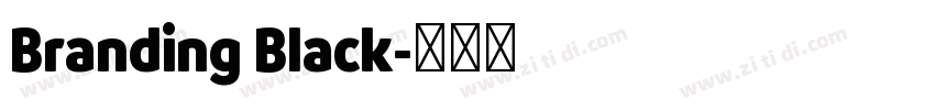 Branding Black字体转换